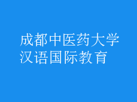 漢語國際教育