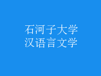 漢語(yǔ)言文學(xué)