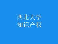 知識產(chǎn)權(quán)