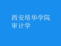 審計學(xué)