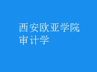 審計學(xué)