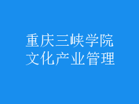 文化產業(yè)管理