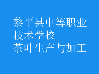 茶葉生產與加工