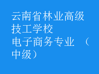 電子商務(wù)專業(yè) （中級(jí)）