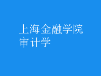 審計(jì)學(xué)
