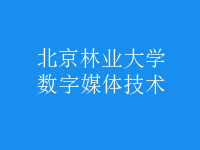 數(shù)字媒體技術