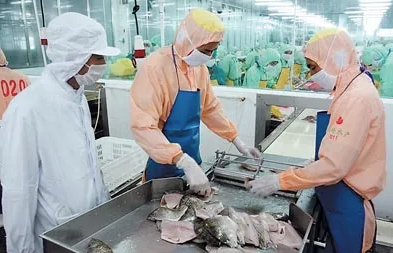 食品進口報關有哪些關鍵點和注意事項？