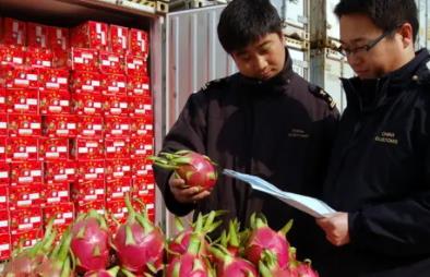 關于食品進口報關你應該知道的幾點知識